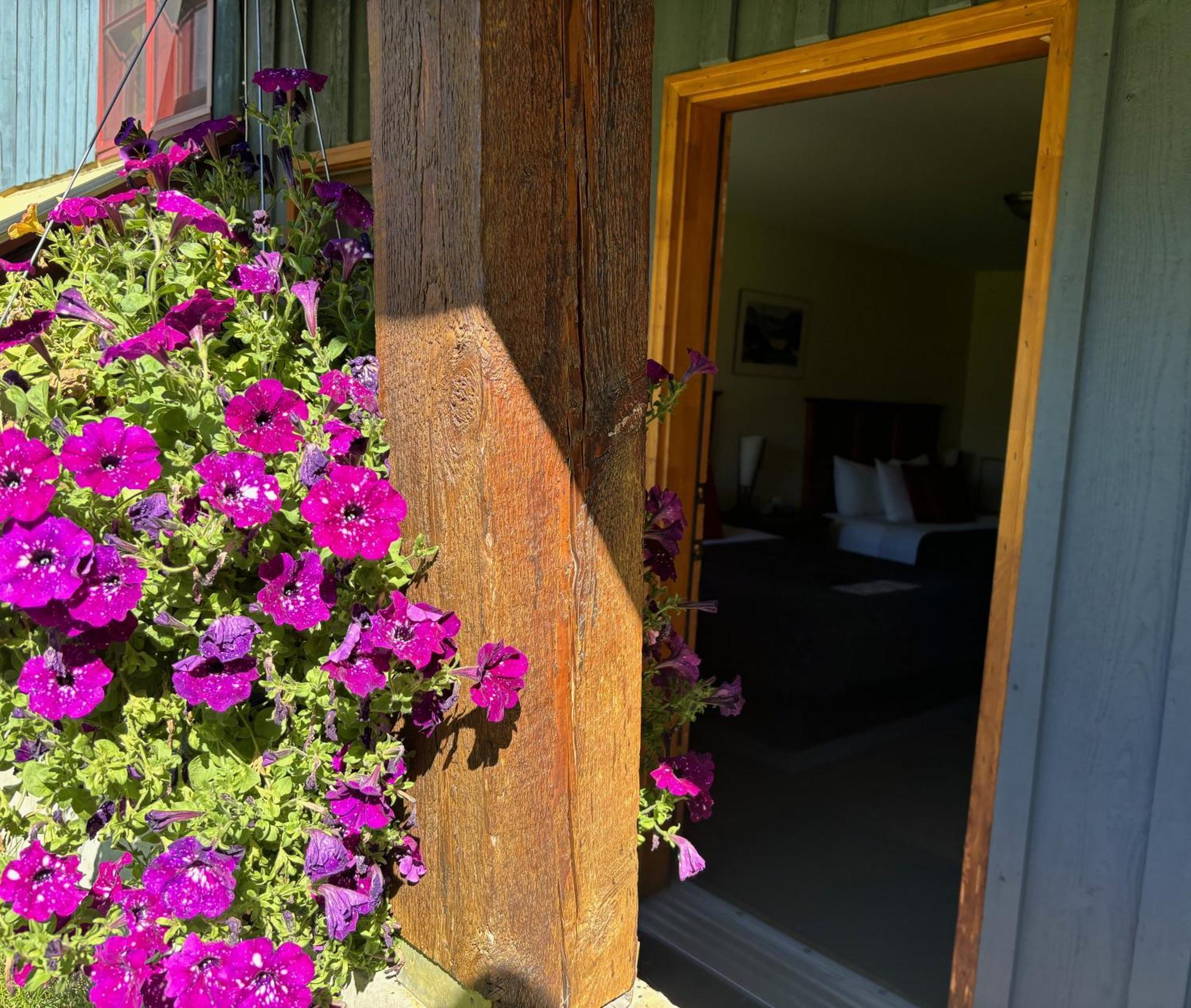 Truffle Pigs Lodge Філд Екстер'єр фото