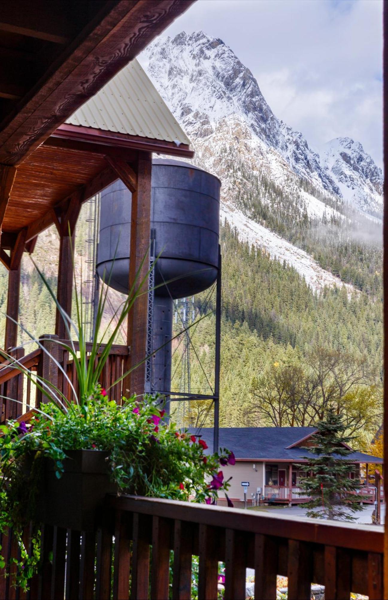 Truffle Pigs Lodge Філд Екстер'єр фото