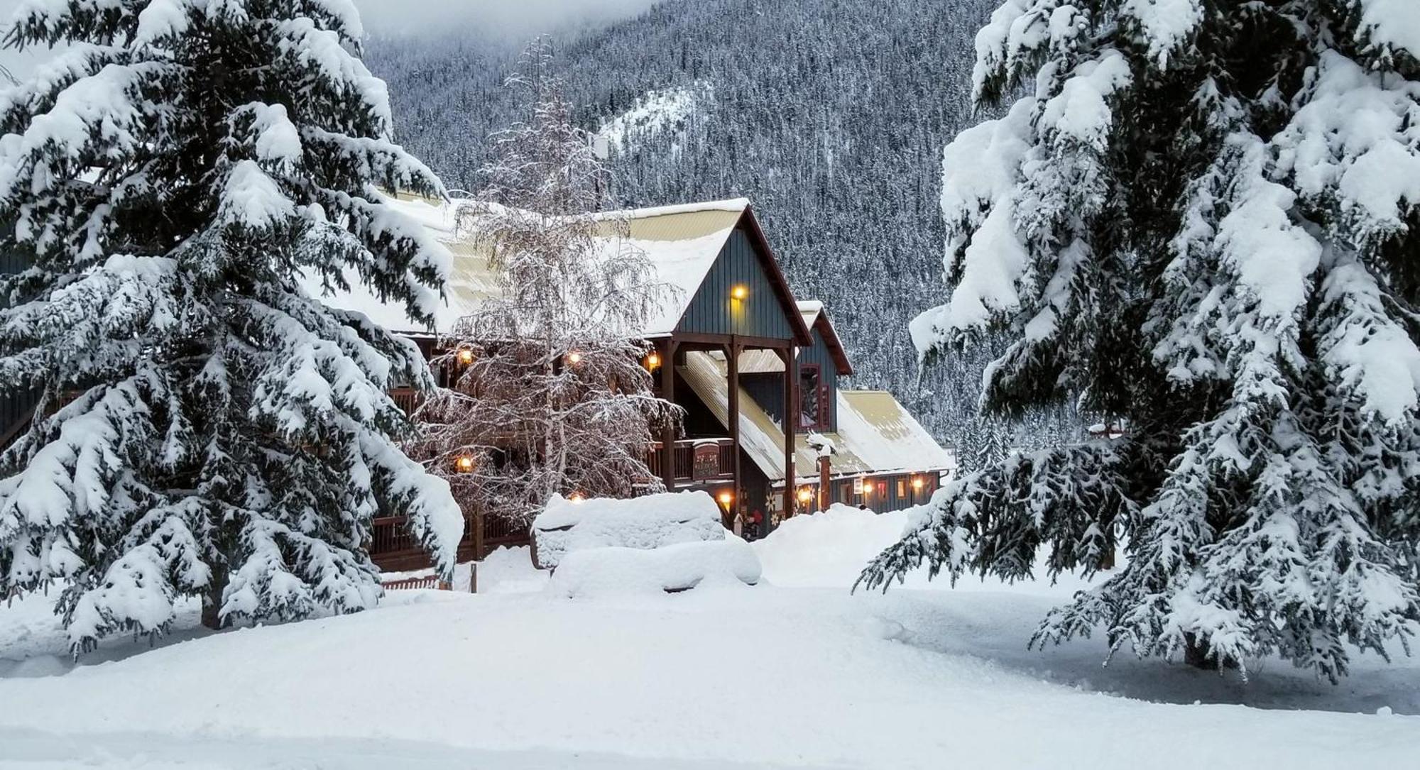 Truffle Pigs Lodge Філд Екстер'єр фото